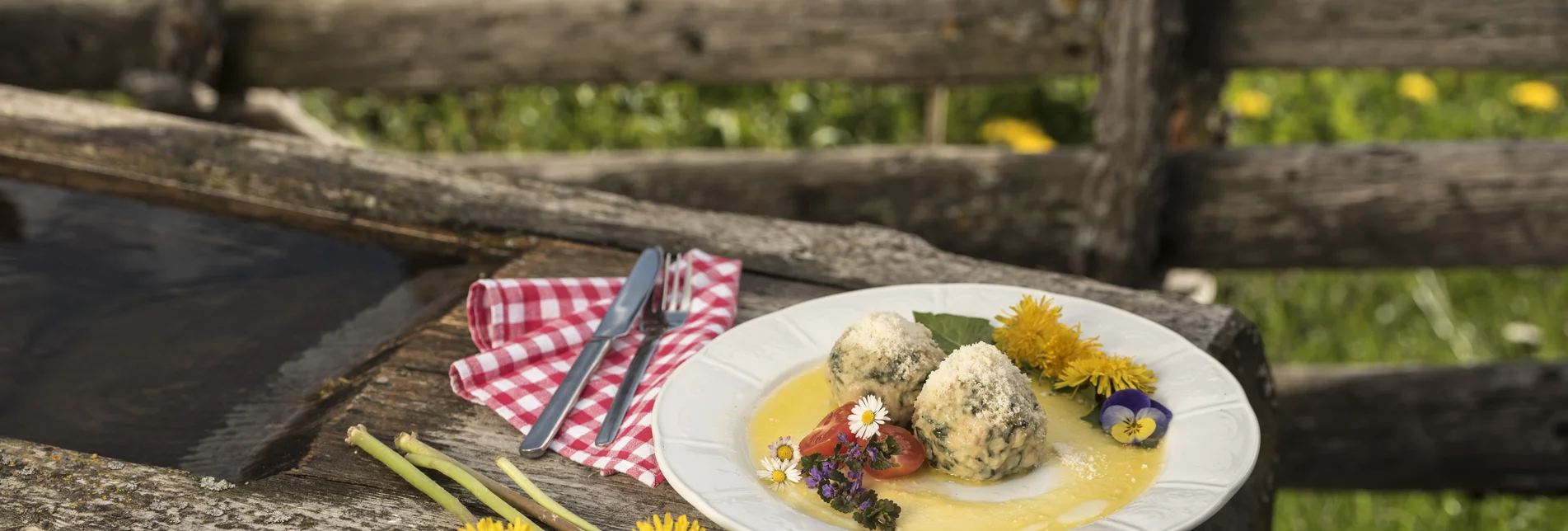 Löwenzahn Knödel im Almenland in der Oststeiermark | © TV Oststeiermark | Bernhard Bergmann Löwenzahn Knödel im Almenland in der Oststeiermark | © TV Oststeiermark | Bernhard Bergmann
