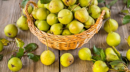 Basket with stag pears from the Pöllau Valley in Eastern Styria | © TV Oststeiermark | Helmut Schweighofer