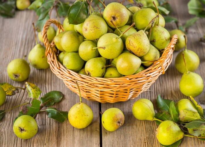 Basket with stag pears from the Pöllau Valley in Eastern Styria | © TV Oststeiermark | Helmut Schweighofer