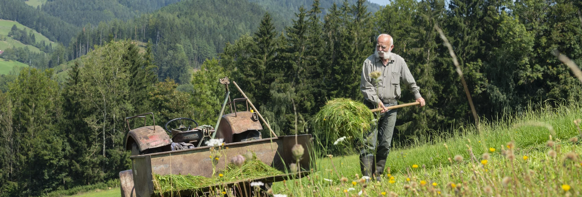 Mowing an Alpine Meadow in Eastern Styria | © TV Oststeiermark | Bernhard Bergmann