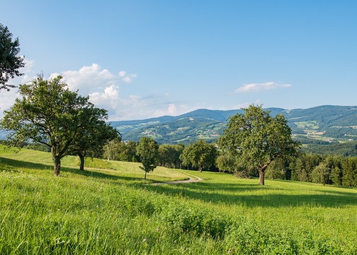 Nature Park Landscape in the Pöllau Valley | © TV Oststeiermark | Helmut Schweighofer