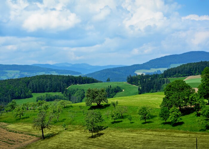 Frühlingslandschaften in der Oststeiermark | ©  Oststeiermark Tourismus | Christian Strassegger