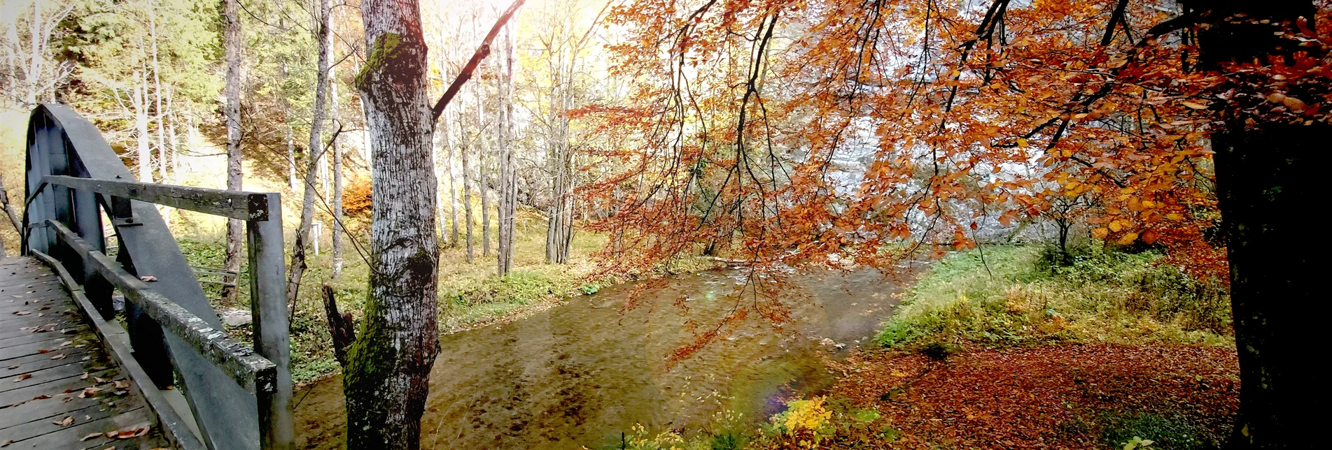 Autumn in the Raabklamm | ©  Oststeiermark Tourismus | Pollhammer