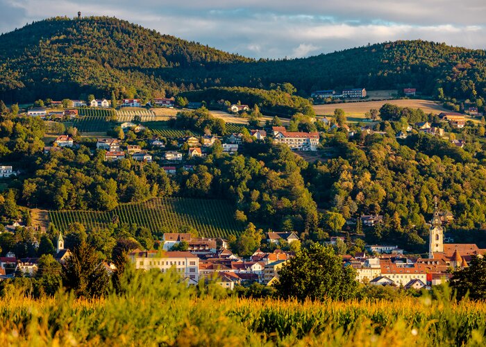 Stadtansicht Hartberg mit Blick auf den Ringkogel | © TV Oststeiermark | Wolfgang Spekner
