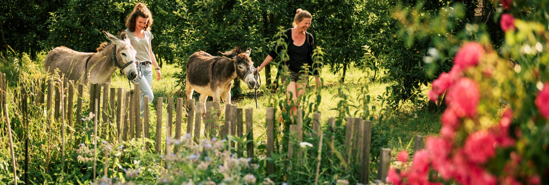 Shopping-Flanier-Tour mit Eseln im Naturpark Pöllauer Tal | ©  Oststeiermark Tourismus | Bernhard Bergmann