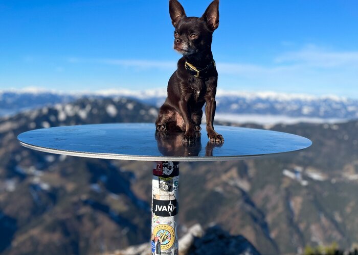 Wandern mit Hund am Hochlantsch | © Oststeiermark Tourismus