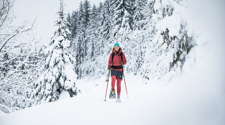 Schneeschuhwandern | © Schladming-Dachstein / Mathäus Gartner | © Schladming-Dachstein / Mathäus Gartner