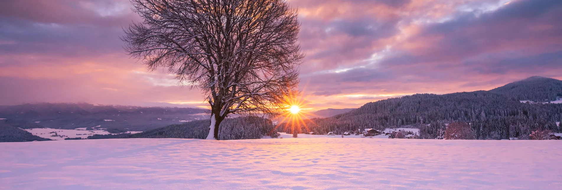 Baum Zeutschach Winter Sonnenuntergang | © TVB Murau |  René Hochegger