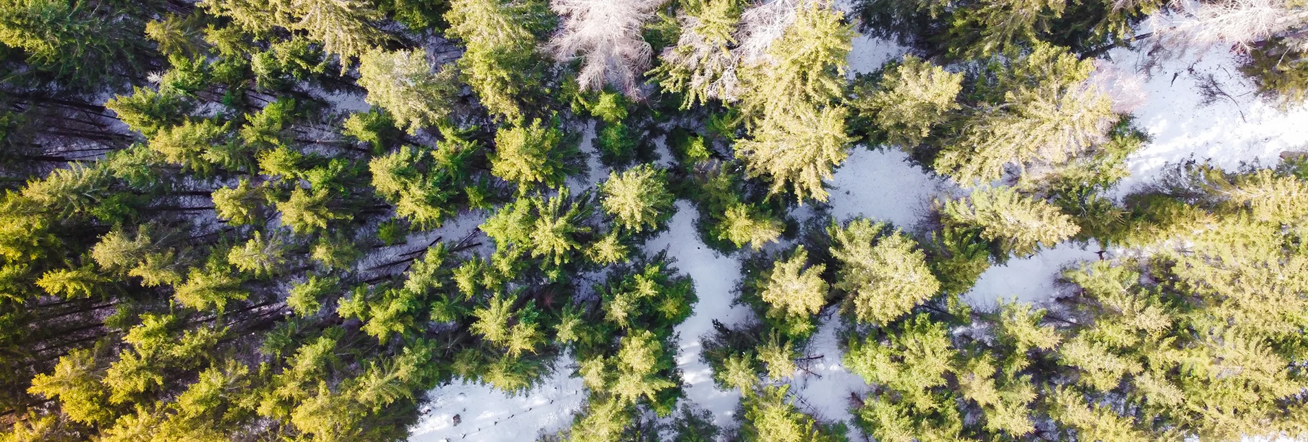 © TV Murau | René Hochegger