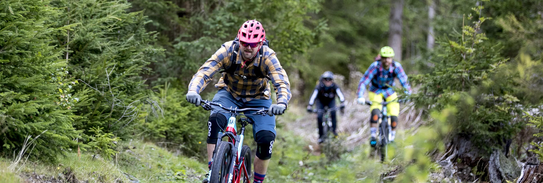 Mühlsteinbodentrail Wald | © TVB Murau | Tom Lamm