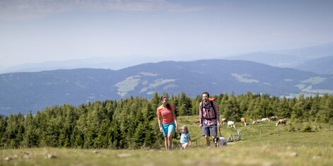 Wanderung mit Kind und Hund am Zirbitzkogel mit Kühen im Hintergrund