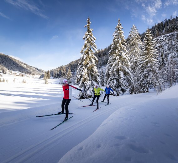 Langlaufeldorado Weirerteich | © Region Murau | Tom Lamm