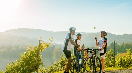 Radpause Genusstreffpunkt Höfer in Weinitzen | © TV Erlebnisregion Graz | Mias Photoart