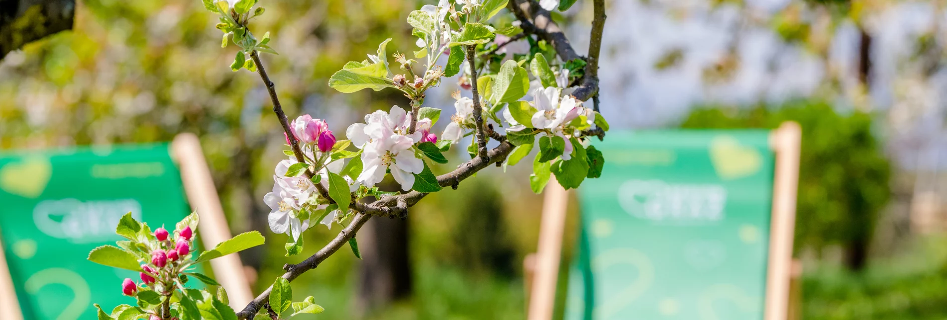 Springtime | © TV Erlebnisregion Graz | Mias Photoart