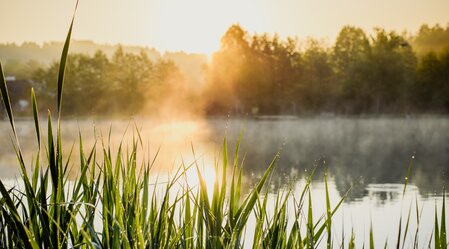 Sommer in der Region Graz | © TV Erlebnisregion Graz | Mias Photoart