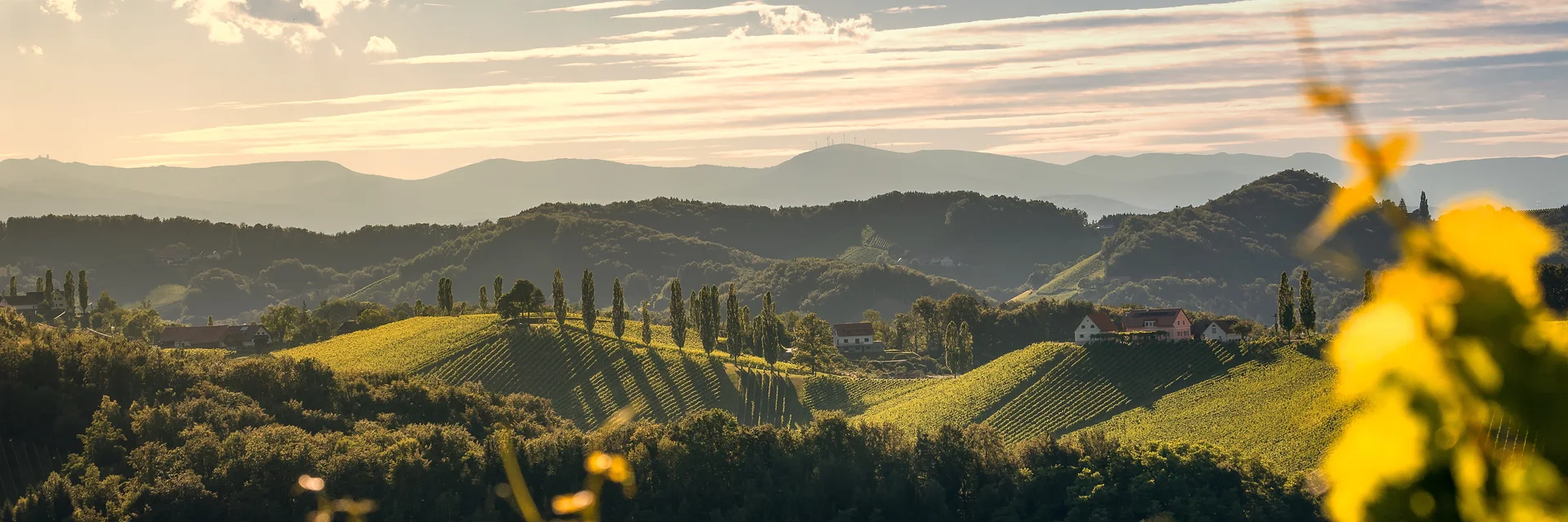 Sommerliche Südsteiermark | © Südsteiermark | Wolfgang Jauk Sommerliche Südsteiermark | © Südsteiermark | Wolfgang Jauk