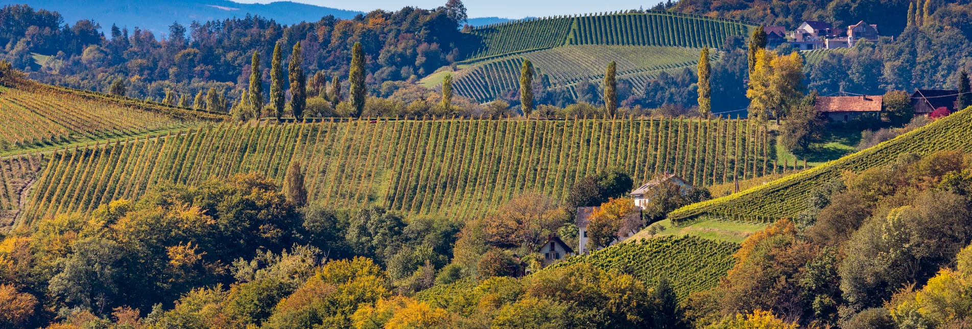 Herbst in der Südsteiermark | © TV Südsteiermark | Harry Schiffer