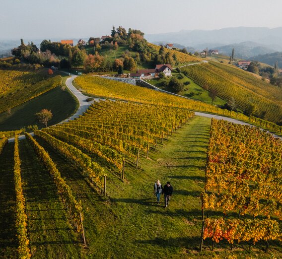 Herbstliche Südsteiermark | © Südsteiermark | CM Visuals