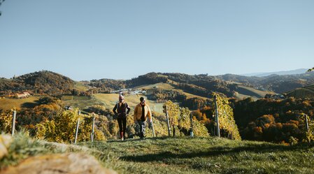 © TV Südsteiermark | /Press/MediaCopyright-autocreated/Lukas Elsneg-autocreated-1651586692-166789