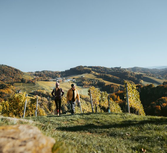 © TV Südsteiermark | /Press/MediaCopyright-autocreated/Lukas Elsneg-autocreated-1651586692-166789