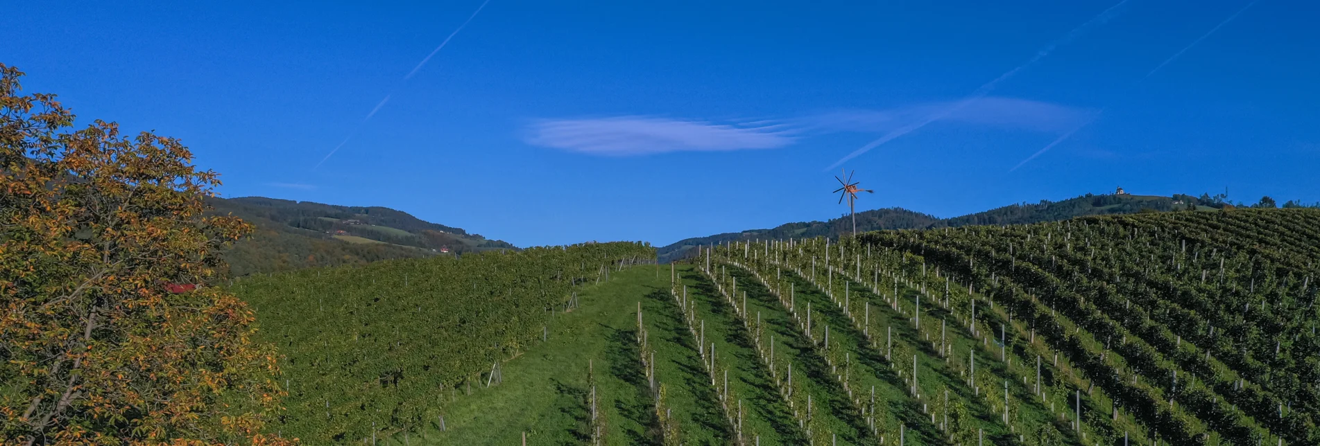 © Christian Freydl, www.fliegendeKamera.net