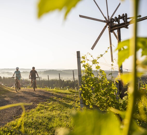 Genussradeln an der Schilcher Weinstraße | © TVB Südsteiermark | Velontour