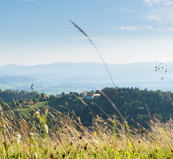 © Naturpark Südsteiermark | Webquartier e.U.