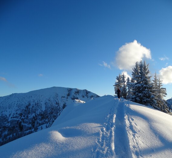 Schneeschuhwanderung Gscheideggkogel | © TV Erzberg Leoben | WEGES OG