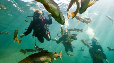 Fischbegegnung im Grüblsee | © Erzberg-Leoben | Susanne Einzenberger