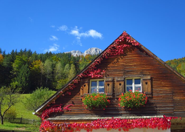 Herbst in der Radmer | © Erzberg-Leoben | Gottsbacher