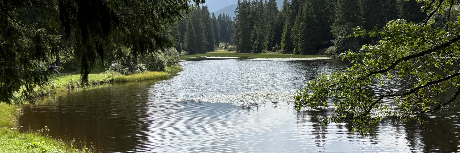 Weberteich - Hohentauern | © Erlebnisregion Murtal | Selina Senft Weberteich - Hohentauern | © Erlebnisregion Murtal | Selina Senft