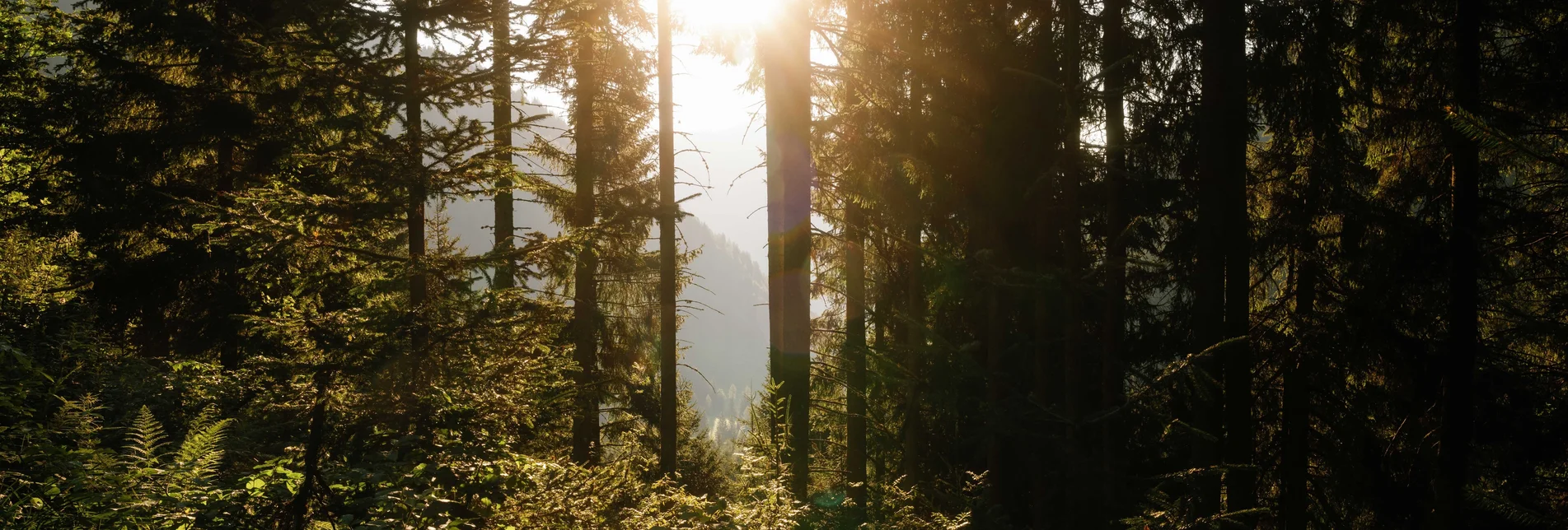 © Erlebnisregion Murtal |  Karl Steinegger