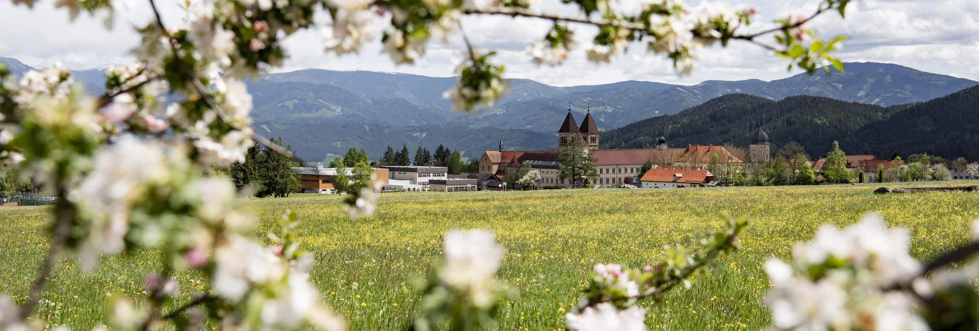 Spring Abbey Seckau | © Anita Fössl  | TV Murtal