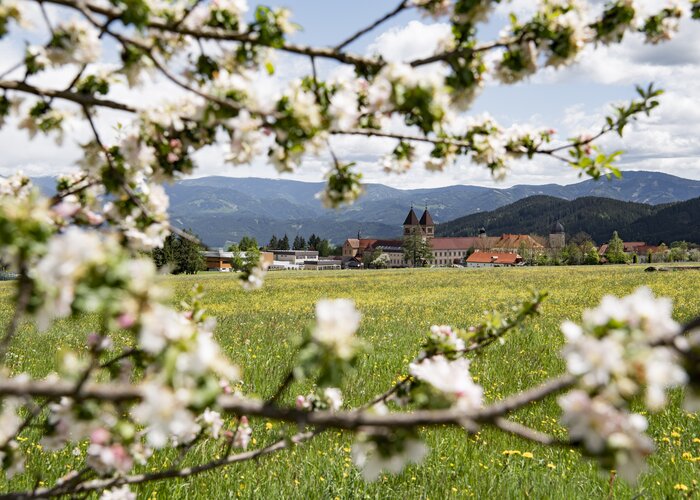 Frühling Abtei Seckau