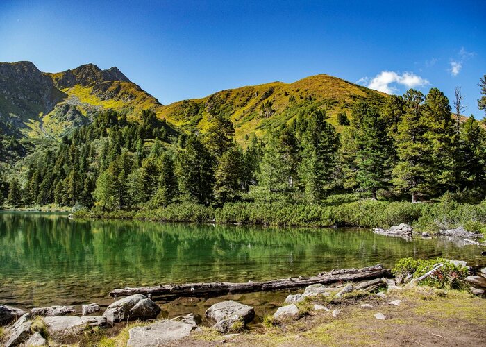 Scheibelsee | © Erlabnisregion Murtal | Anita Fössl