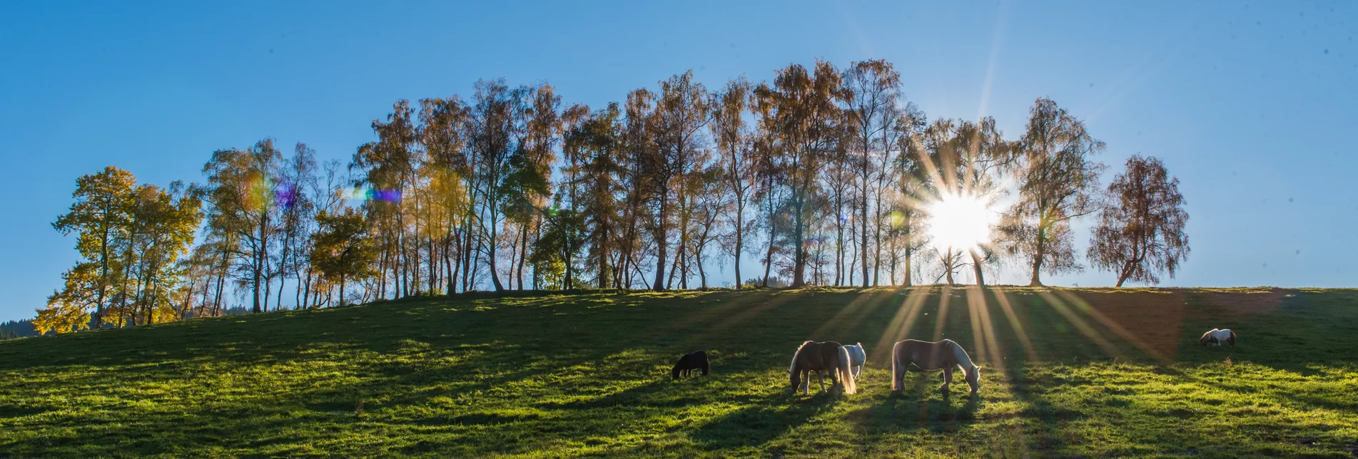 © Anita Fössl  | Erlebnisregion Murtal