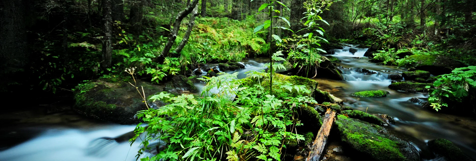 Bach Wasser Sommer | © Eberhard | TV Murtal