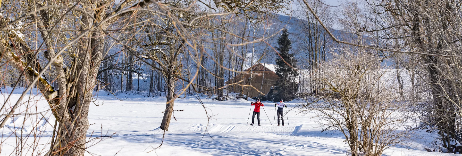 Langlaufen im Murtal - Steiermark | © Erlebnisregion Murtal | Anita Fössl