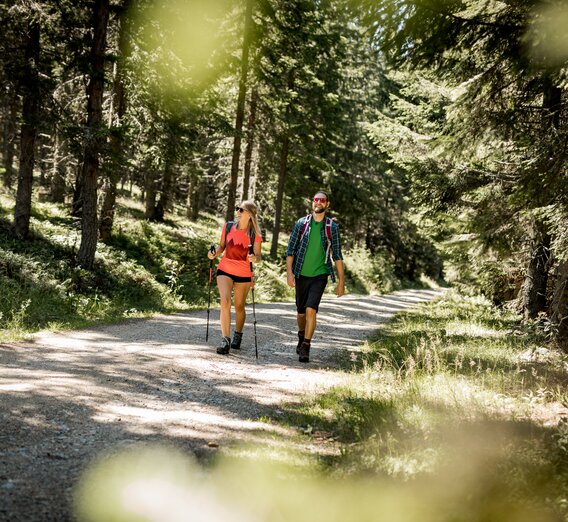 Wanderung in Wartberg | © TV Hochsteiermark | nicoleseiser.at