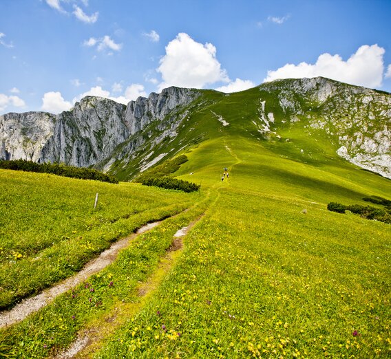Wandern in der Hochsteiermark | © TV Hochsteiermark | Tom Lamm