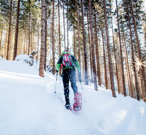 Schneeschuhwandern | © Naturpark Mürzer Oberland | nicoleseiser.at