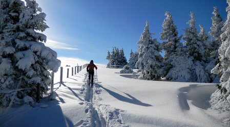 Skitourenparadies Hochsteiermark | © TV Hochsteiermark | Steininger Andreas