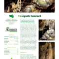 AZ_39_Lurgrotte Semriach.pdf