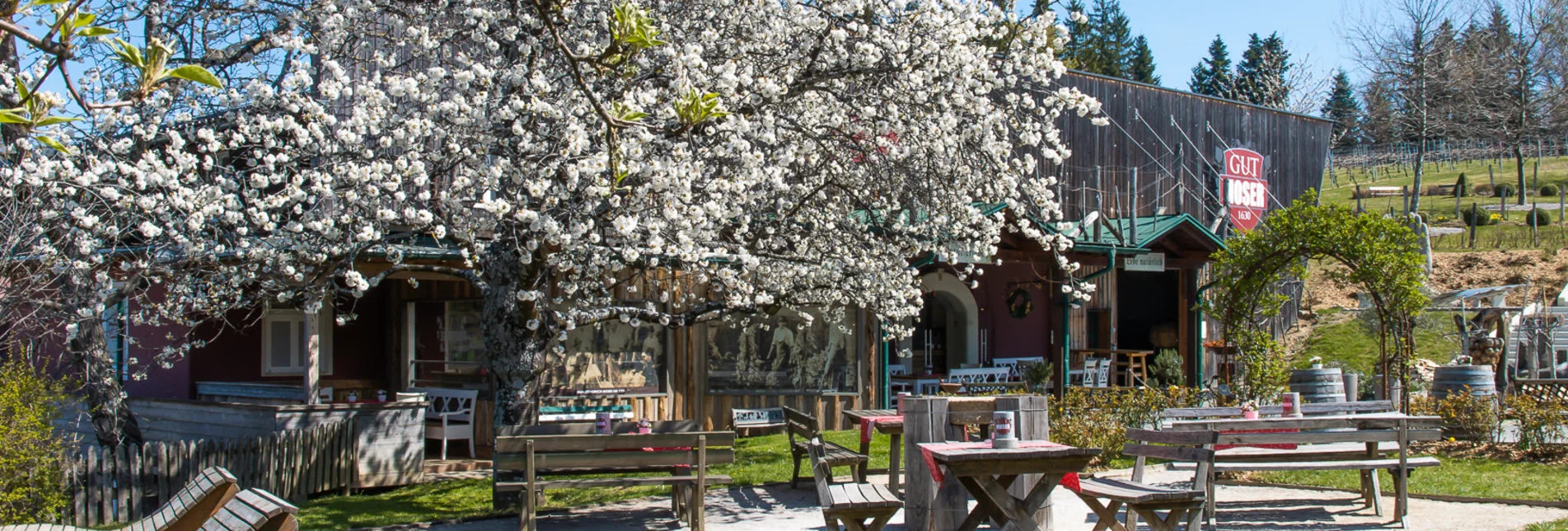 PackageOstern am Weingut - 