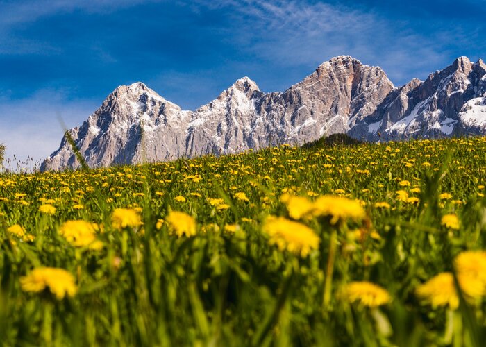 © Christine Höflehner