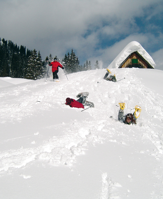 Winter im Nationalpark Gesäuse | © Nationalpark Gesäuse GmbH