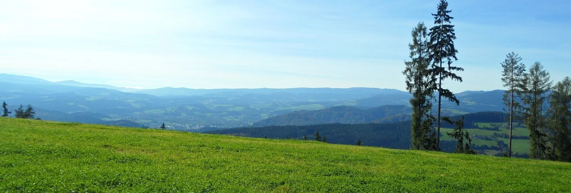 Bike Riding Lipizzanerheimat Hill Tour - Touren-Impression #1 | © Region Graz