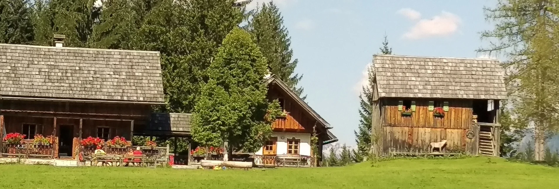 Nordic Walking Steinitzen - Almgraben round (GPS trail) - Touren-Impression #1 | © Tourismusverband Ausseerland - Salzkammergut/C. Arzberger