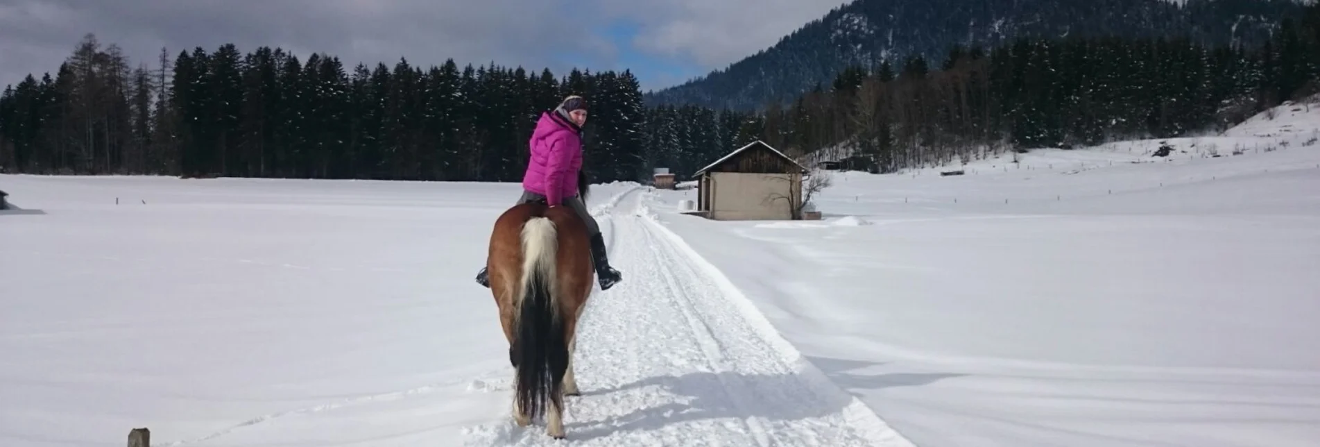 Reiten Reitweg vom Stausee auf die Brentenmöser - Touren-Impression #1 | © TVB Ausseerland - Salzkammergut/K. Ceipek