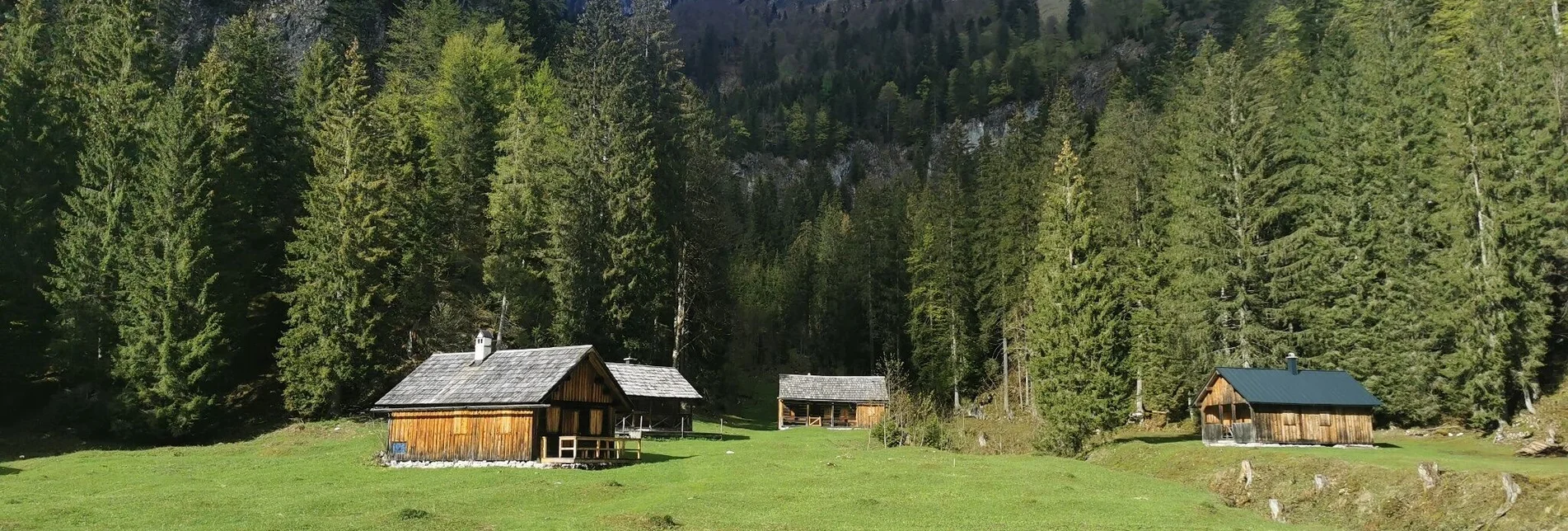 Hiking route Hike to the Zimitzalm - Touren-Impression #1 | © Ausseerland